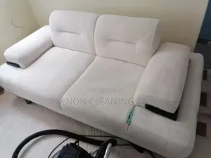 Cleaning and Fumigation Service