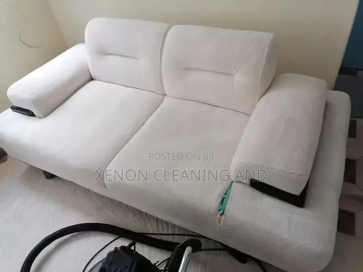 Cleaning and Fumigation Service
