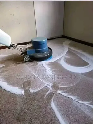 Cleaning and Fumigation Service