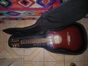 Twelve String Guitar