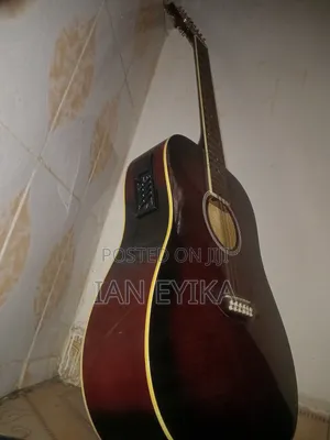 Twelve String Guitar