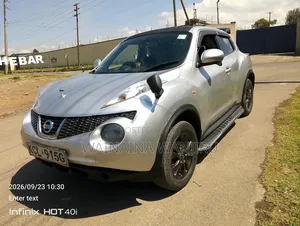 Nissan Juke 2012 Silver