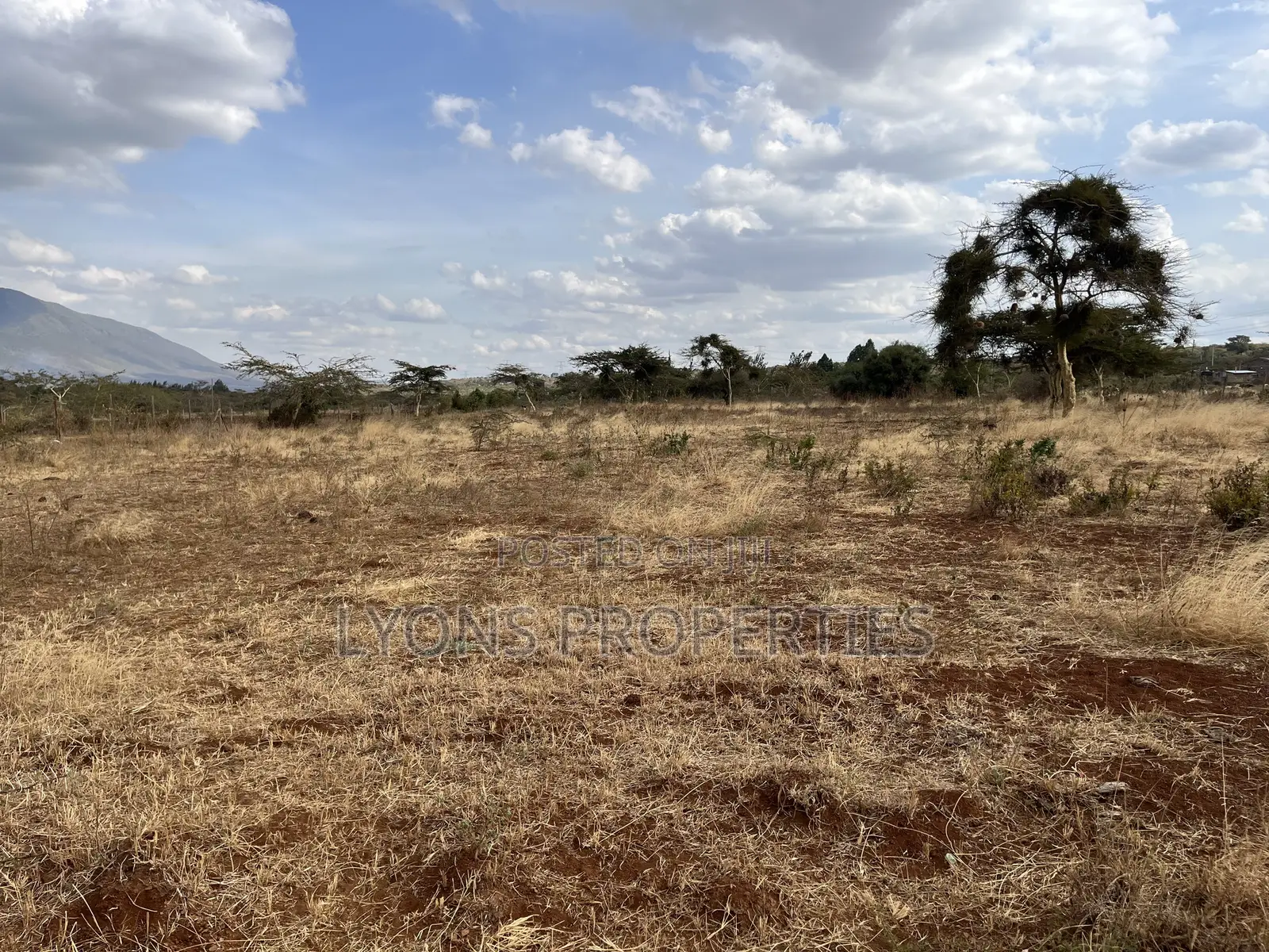 2.5 Acres of Land for Sale in Kimuka