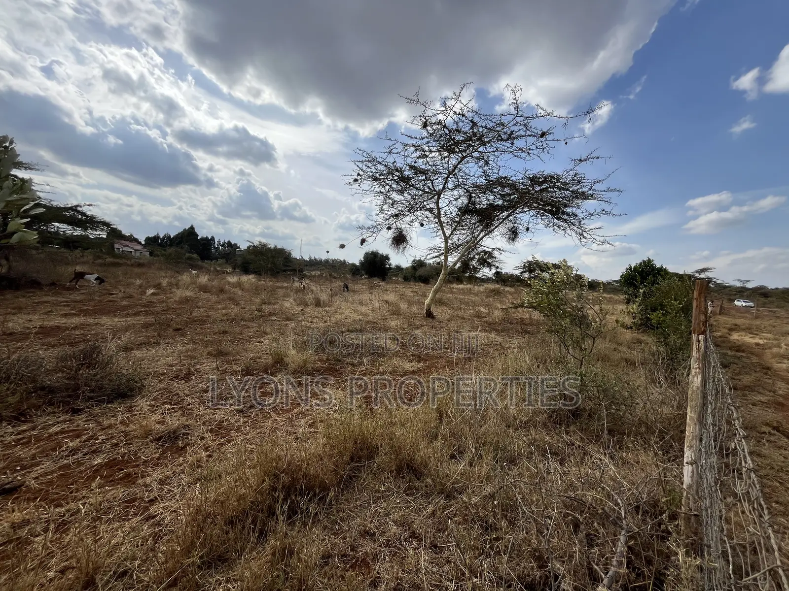 2.5 Acres of Land for Sale in Kimuka
