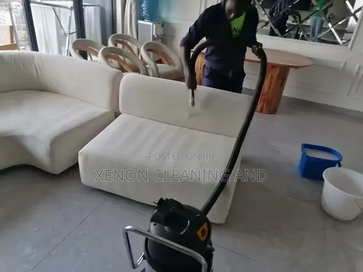 Cleaning and Fumigation Service