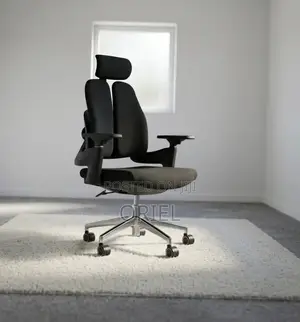 Office Chair : Lumbar Support Orthopedic Chair