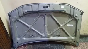 Probox Old Model