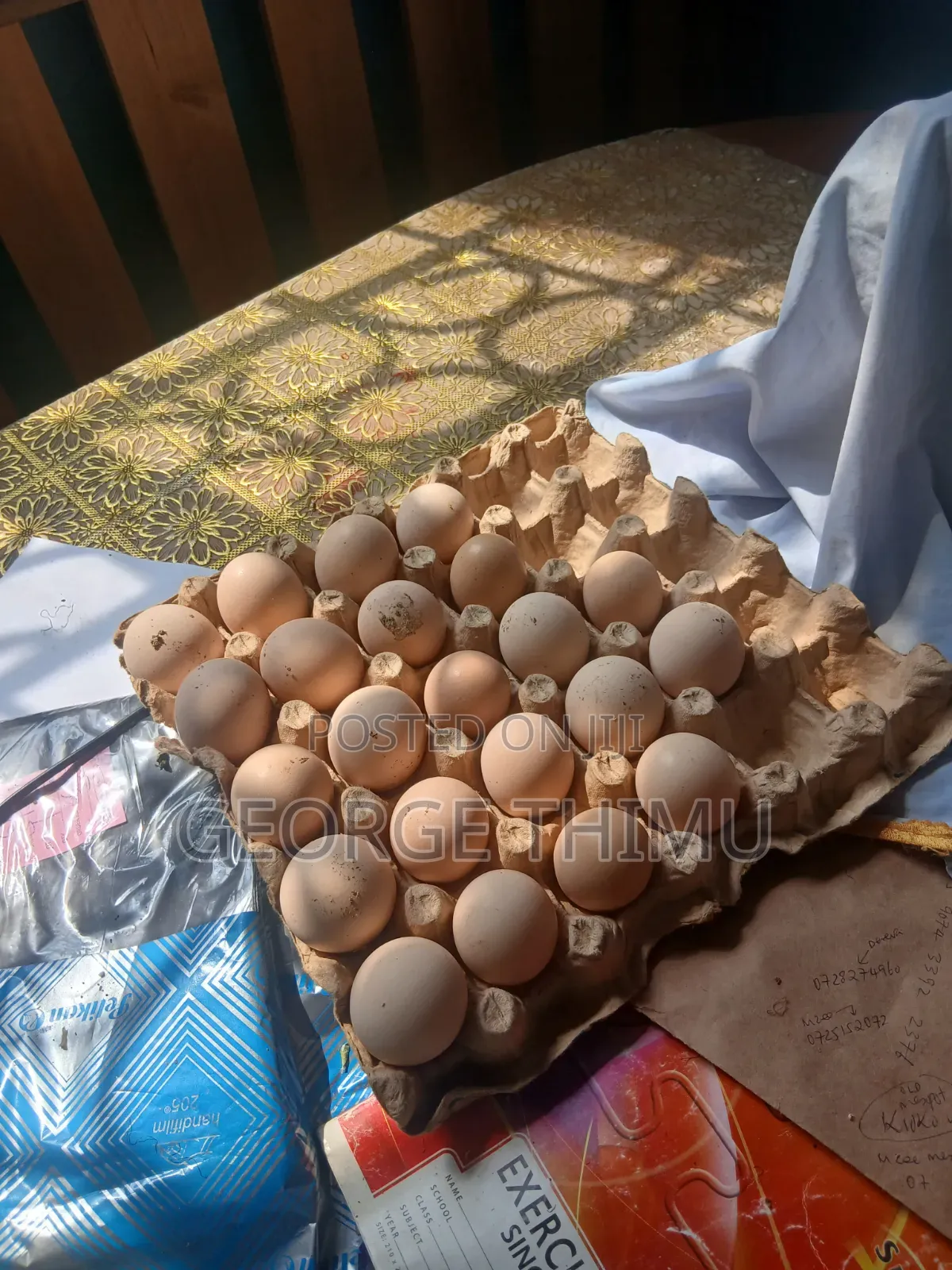 Fresh Fertilised Turkey Eggs on Sale