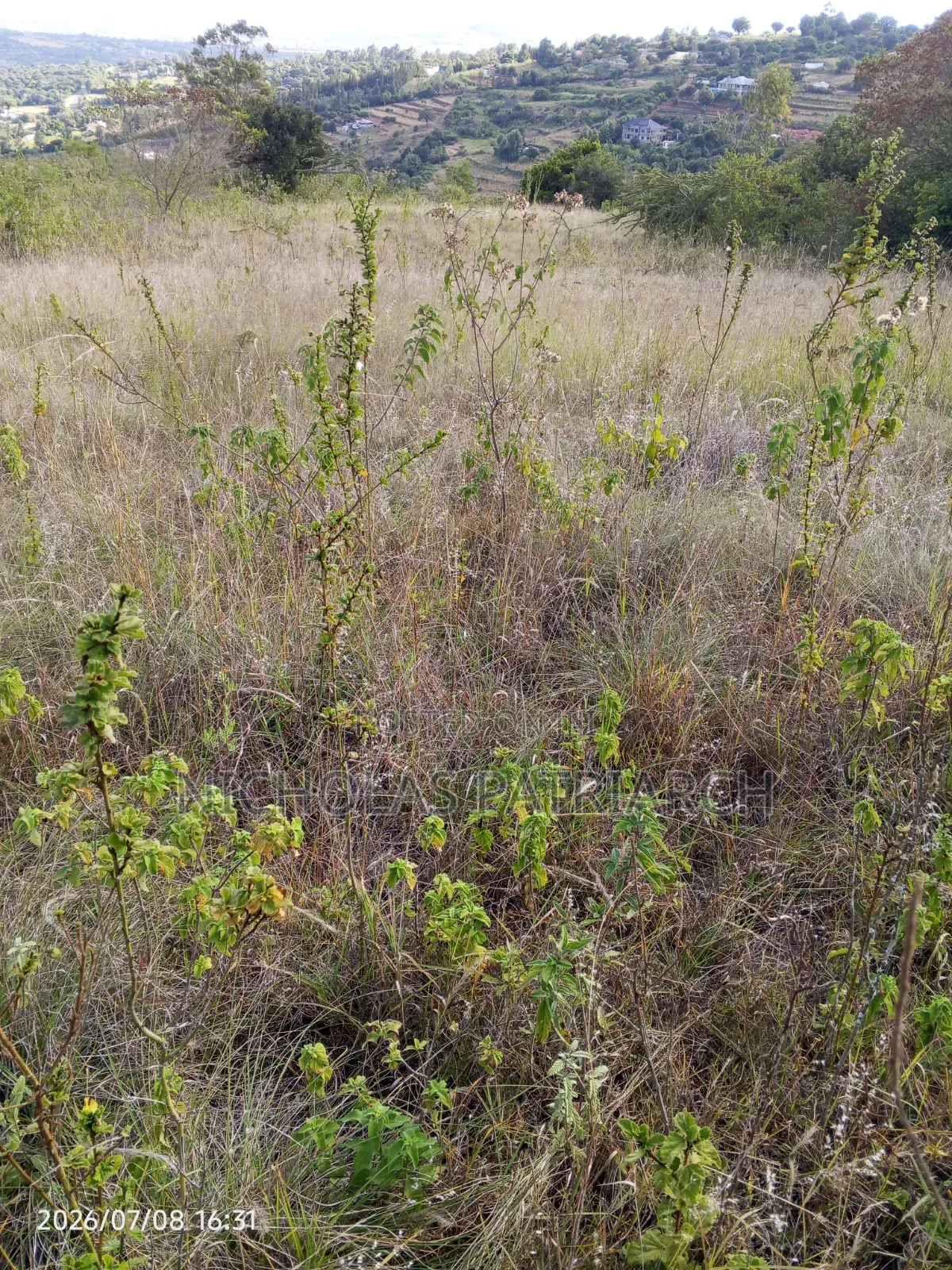 100 Acres Yatta Kiusyani Selling