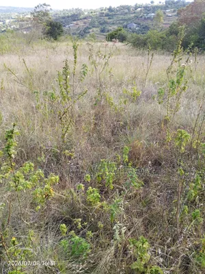 100 Acres Yatta Kiusyani Selling