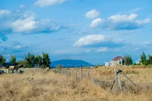 Plainsview Gardens Malaa