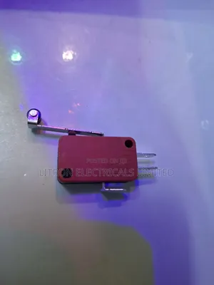 Long Roller Micro Switch