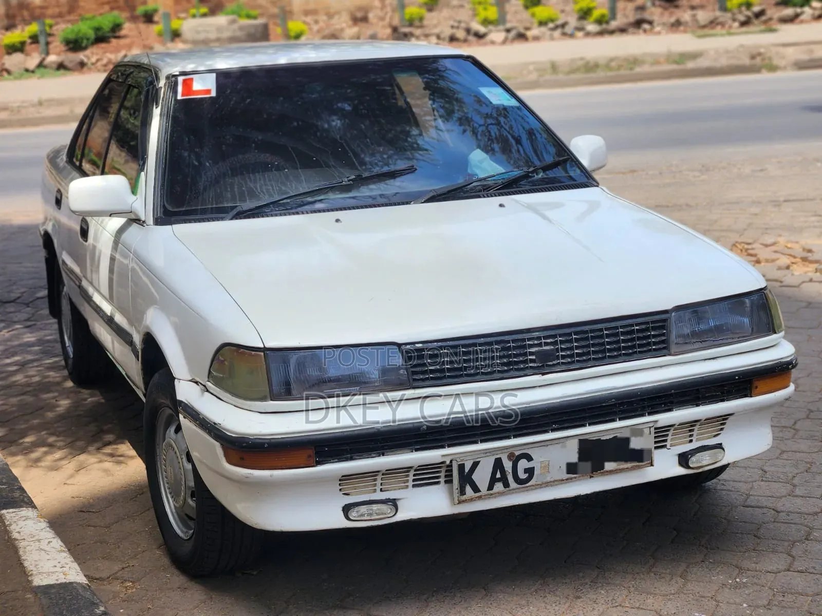 Toyota Corolla 1999 White