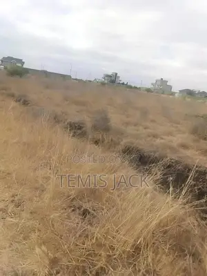 Prime 5 Acres Katani 1.7km From tarmac.Ready.Don't Miss This Opportun!