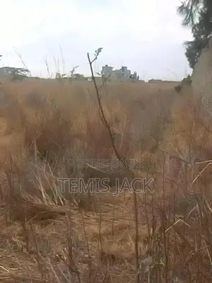 Prime 5 Acres Katani 1.7km From tarmac.Ready.Don't Miss This Opportun!