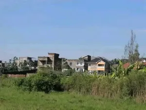 Prime Plots for Sale in Ruiru Mugutha With Lipa Pole Pole Option