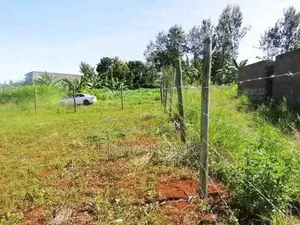 Prime Plots for Sale in Ruiru Mugutha With Lipa Pole Pole Option