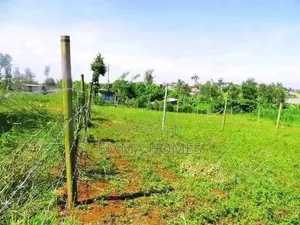 Prime Plots for Sale in Ruiru Mugutha With Lipa Pole Pole Option