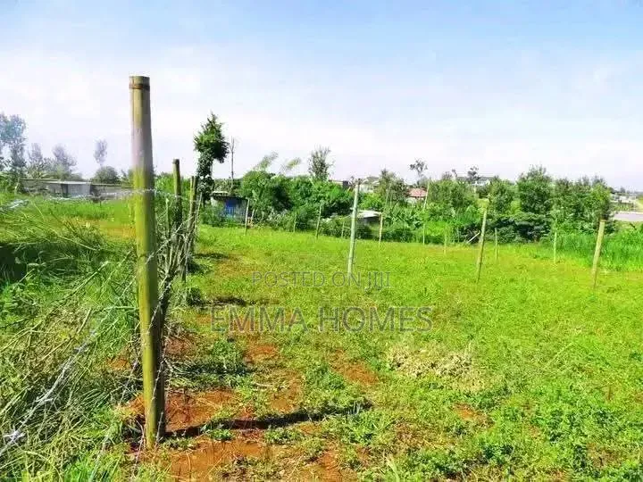 Prime Plots for Sale in Ruiru Mugutha With Lipa Pole Pole Option