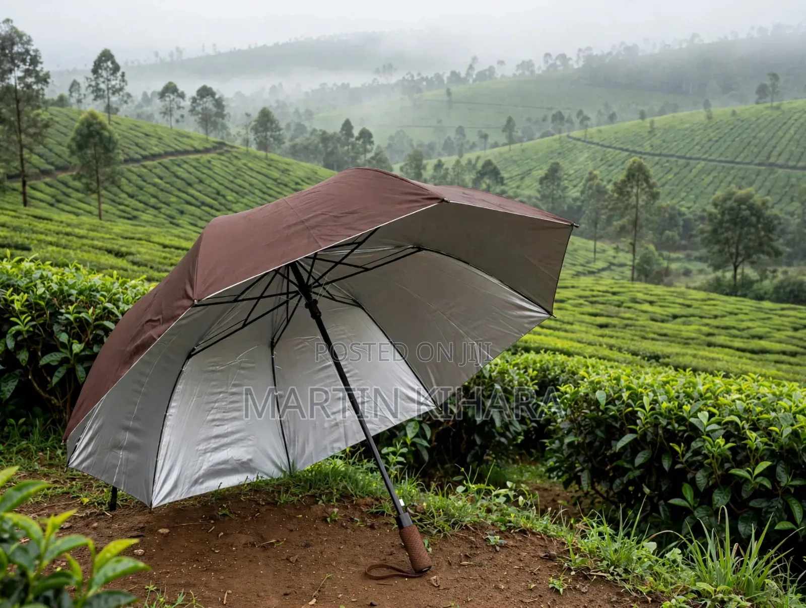 2 Fold Pocket Umbrellas