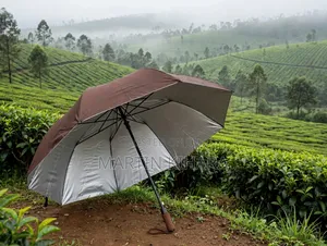 2 Fold Pocket Umbrellas
