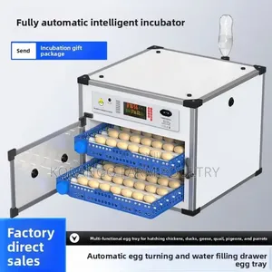 Automatic Eggs Incubator
