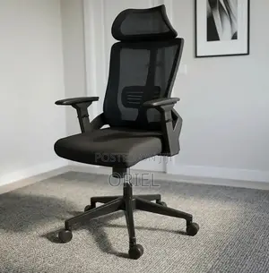 Office Chair : Ergonomic Seat With Adjustable Arms