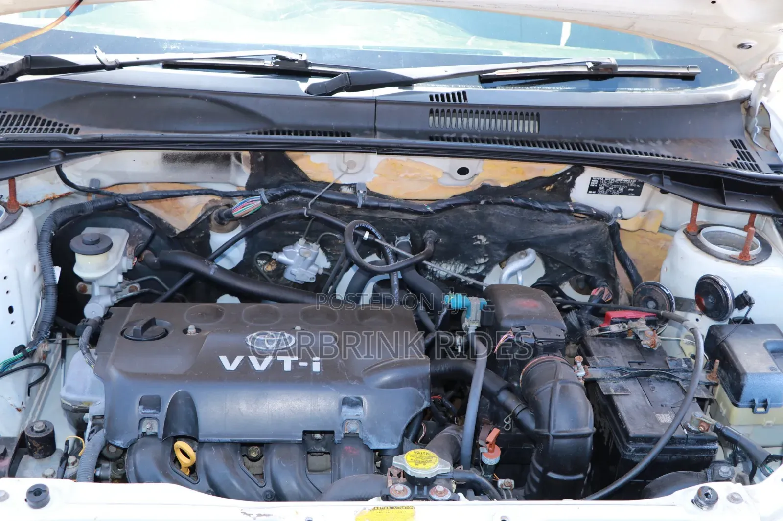 Toyota Succeed 2011 White