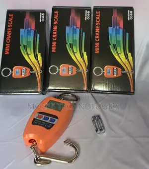 Heavy-Duty 200kg Hanging Crane Scale