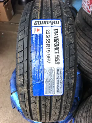 225/55r19 Goddard