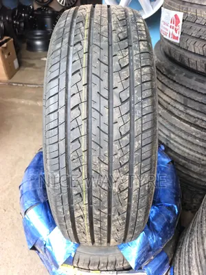 225/55r19 Goddard