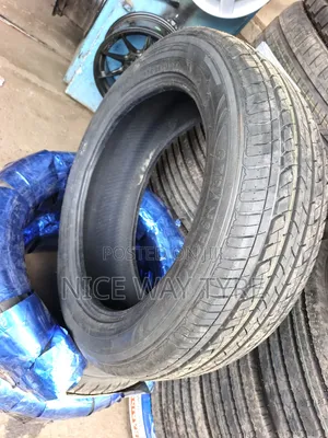 225/55r19 Goddard
