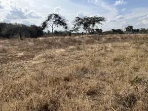 1/4 Acres of Land in Kimuka for Sale