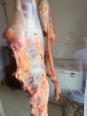 Premium Fresh Meat