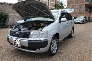 Toyota Probox 2013 Silver