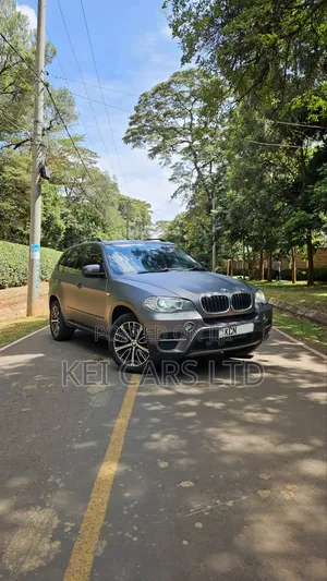 BMW X5 xDrive30i AWD (3.0L 6cyl 6A) 2010 Gray