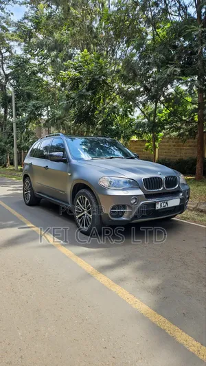 BMW X5 xDrive30i AWD (3.0L 6cyl 6A) 2010 Gray