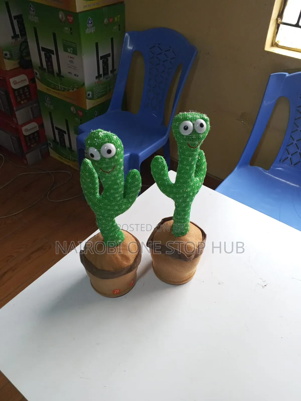 Kid's Dancing Cactus