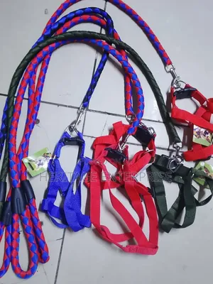 Dog Leash Dog Pet Harness Leash