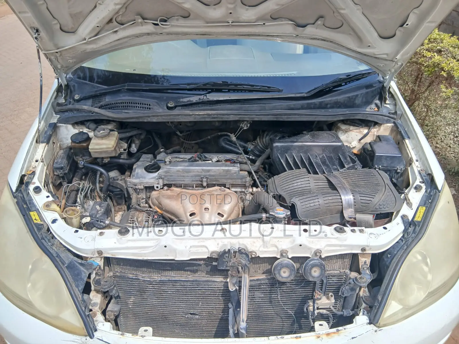 Toyota Ipsum 2008 Pearl