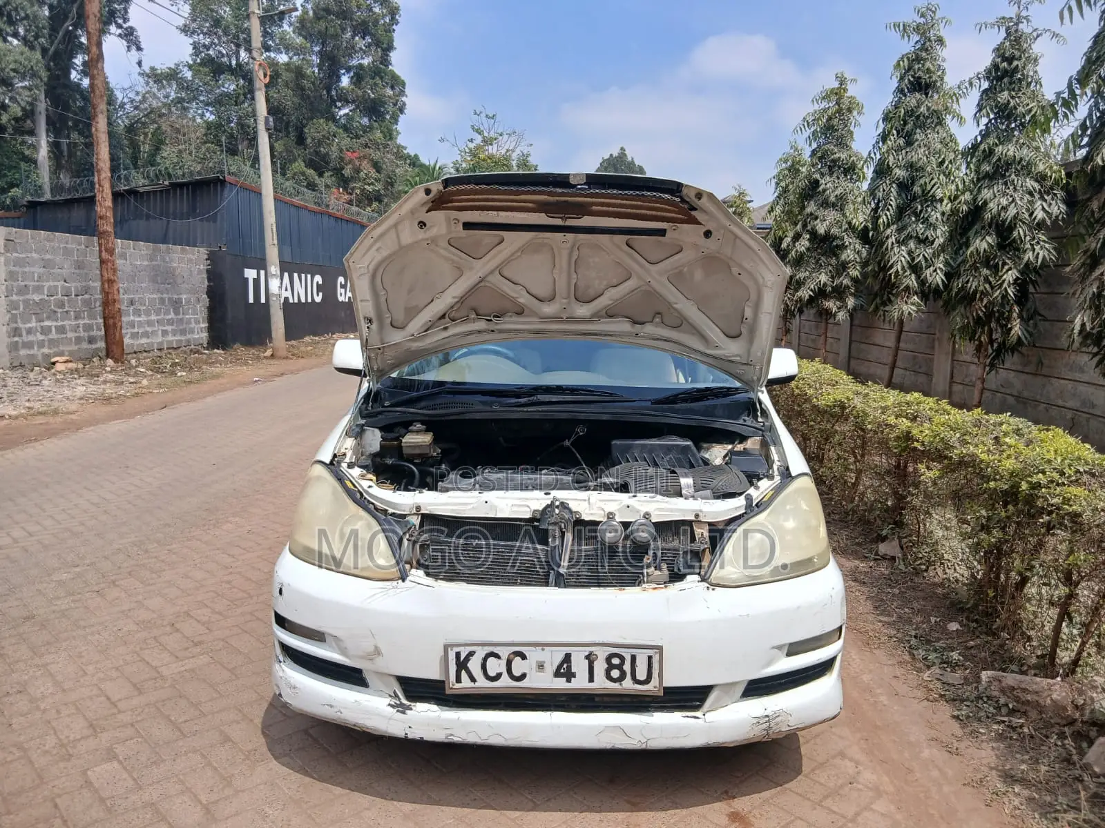 Toyota Ipsum 2008 Pearl