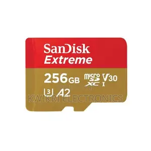 SANDISK Extreme GO microSD UHS-I Card - 256GB