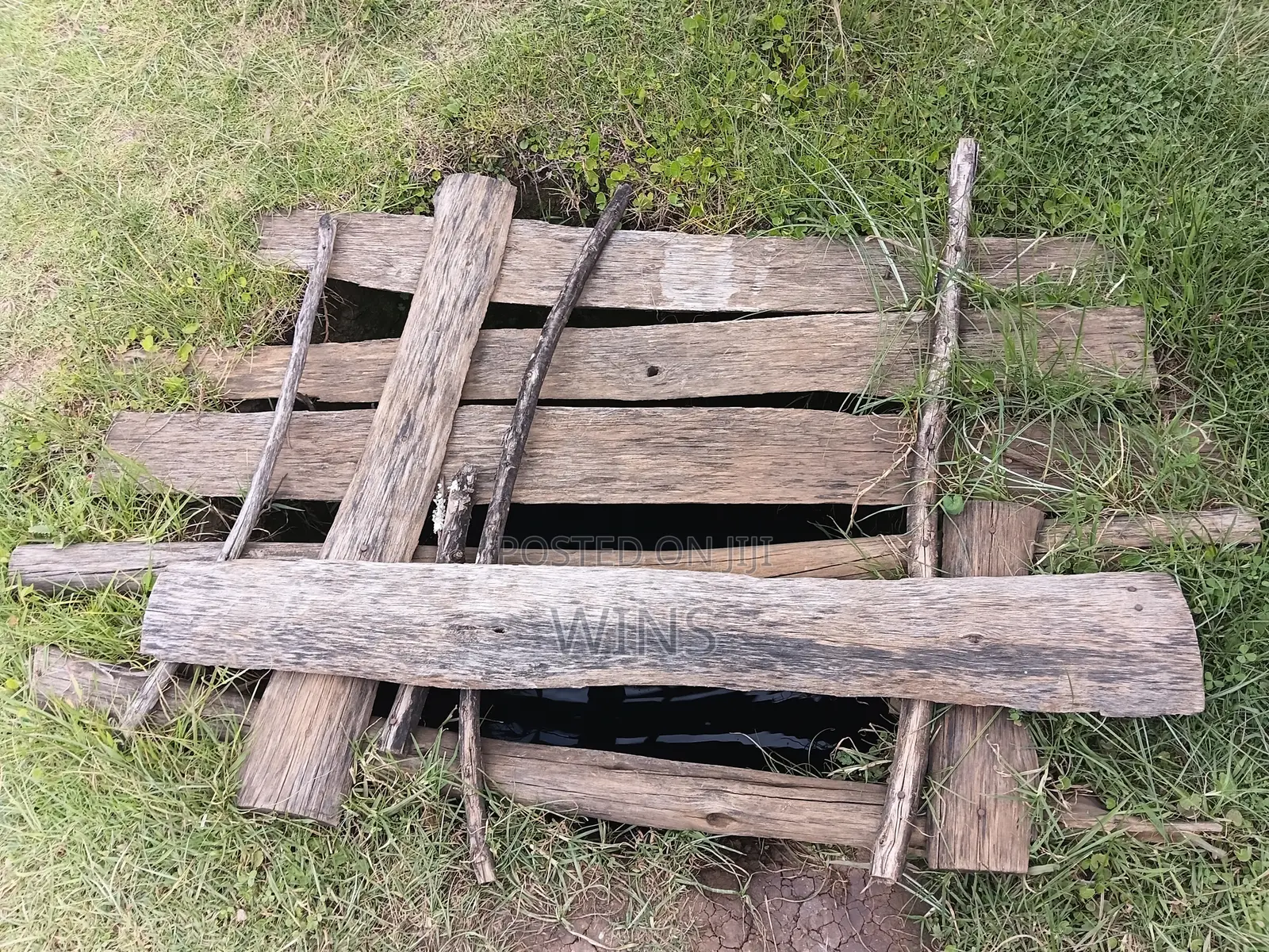 Prime Plot at Cheptiret, Seiyo
