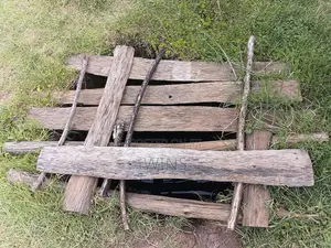 Prime Plot at Cheptiret, Seiyo