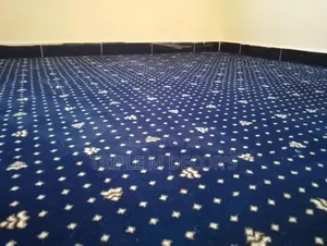 Long Lasting Office 12mm Executive Wall Carpet