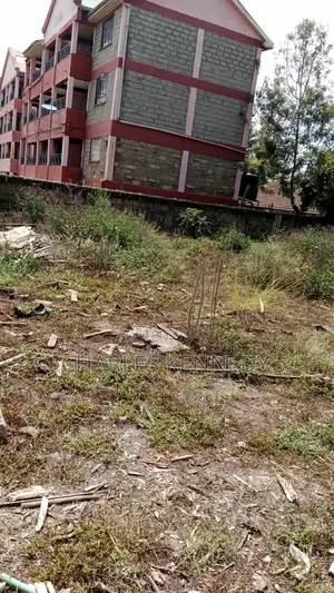 Developed Plot