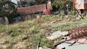 Developed Plot