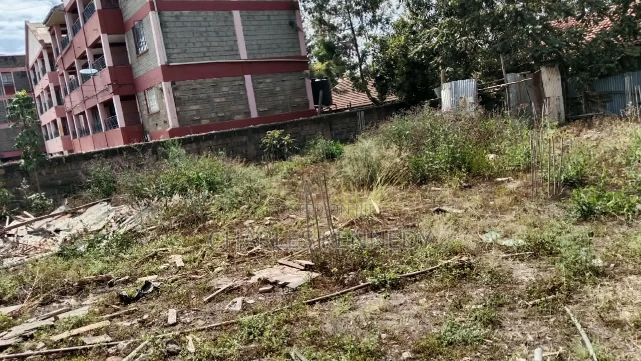 Developed Plot