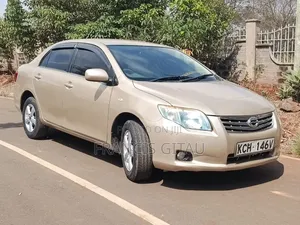 Toyota Axio 2009 Gold