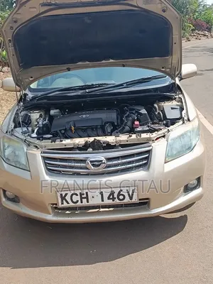 Toyota Axio 2009 Gold